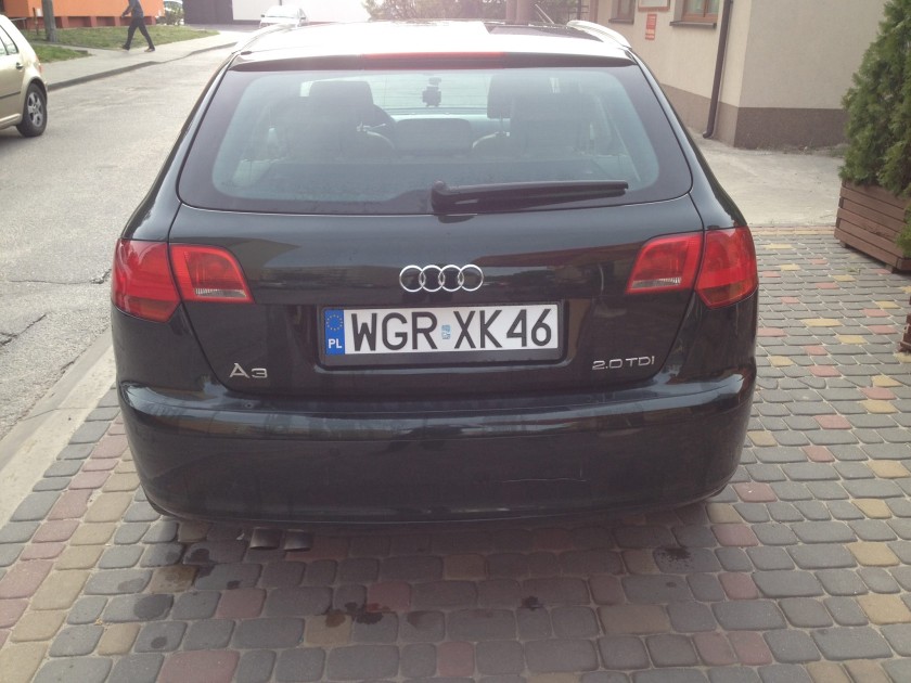 12164900_513495198801363_2043564852_o